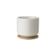Stelton Theo Mugg Inkl Coaster 1 st Sand