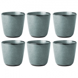 Aida RAW Mugg 0,30L 6 st Northern Green