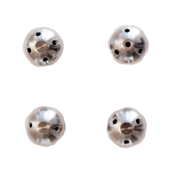 Rocket Steamer Tips 4 st.