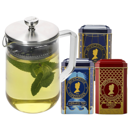 La Cafetière 4 Koppar Tebryggare Stål/Glas Inkl. Østerlandsk Thehus Pyramidtebrev 36 st