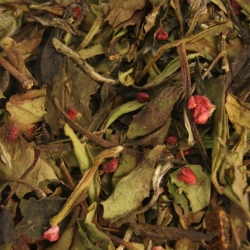 Hvid Hallon Vanilj Te 1kg